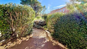Un camino pavimentado que lleva a un edificio rodeado de abundante vegetación y un cielo azul despejado.