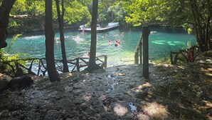 A natural pool surrounded by trees with people swimming. - Eco Resort with 1-bedroom hotel suite in charming Playa del Carmen with AC (Playa del Carmen)