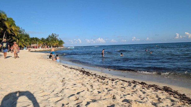 A beach with clear skies, palm trees, and people swimming and walking along the shore. - Eco Resort with 1-bedroom hotel suite in charming Playa del Carmen with AC (Playa del Carmen)