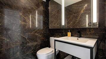 Hair dryer, towels, soap, toilet paper