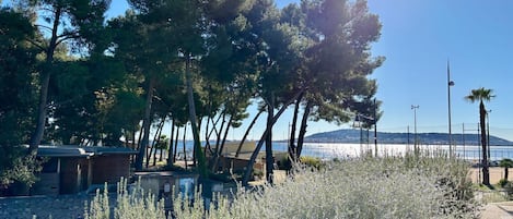 Une zone côtière bordée d’arbres, avec un ciel dégagé et une vue sur la mer.