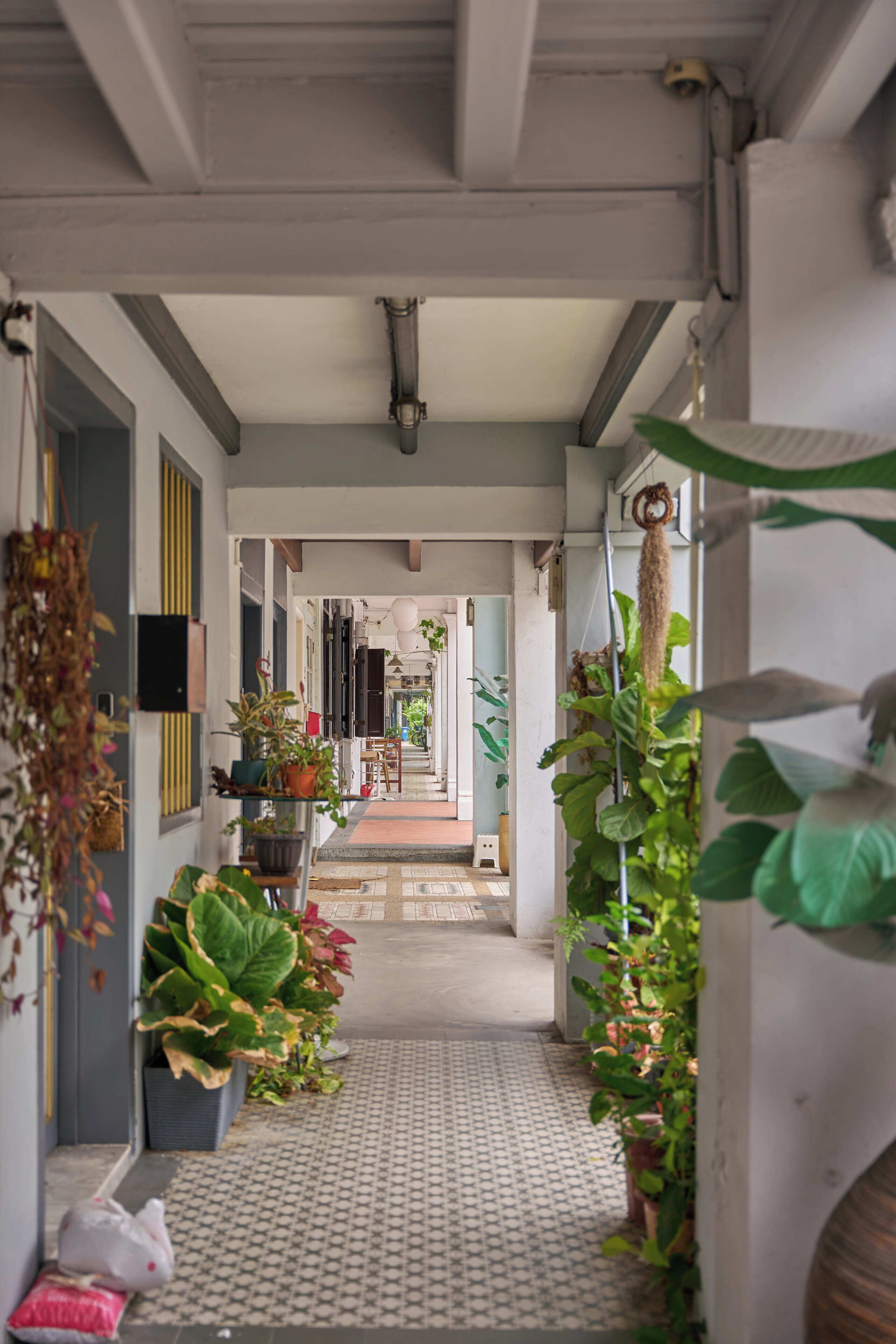 Un pasillo con plantas en macetas, piso de baldosas y una puerta al final.
