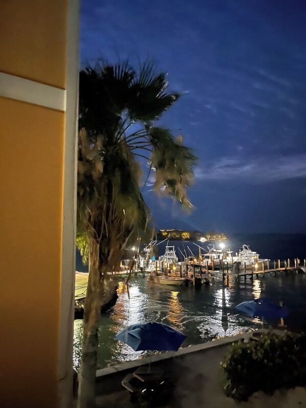 A nighttime marina with boats docked, a palm tree, and a building in the background.