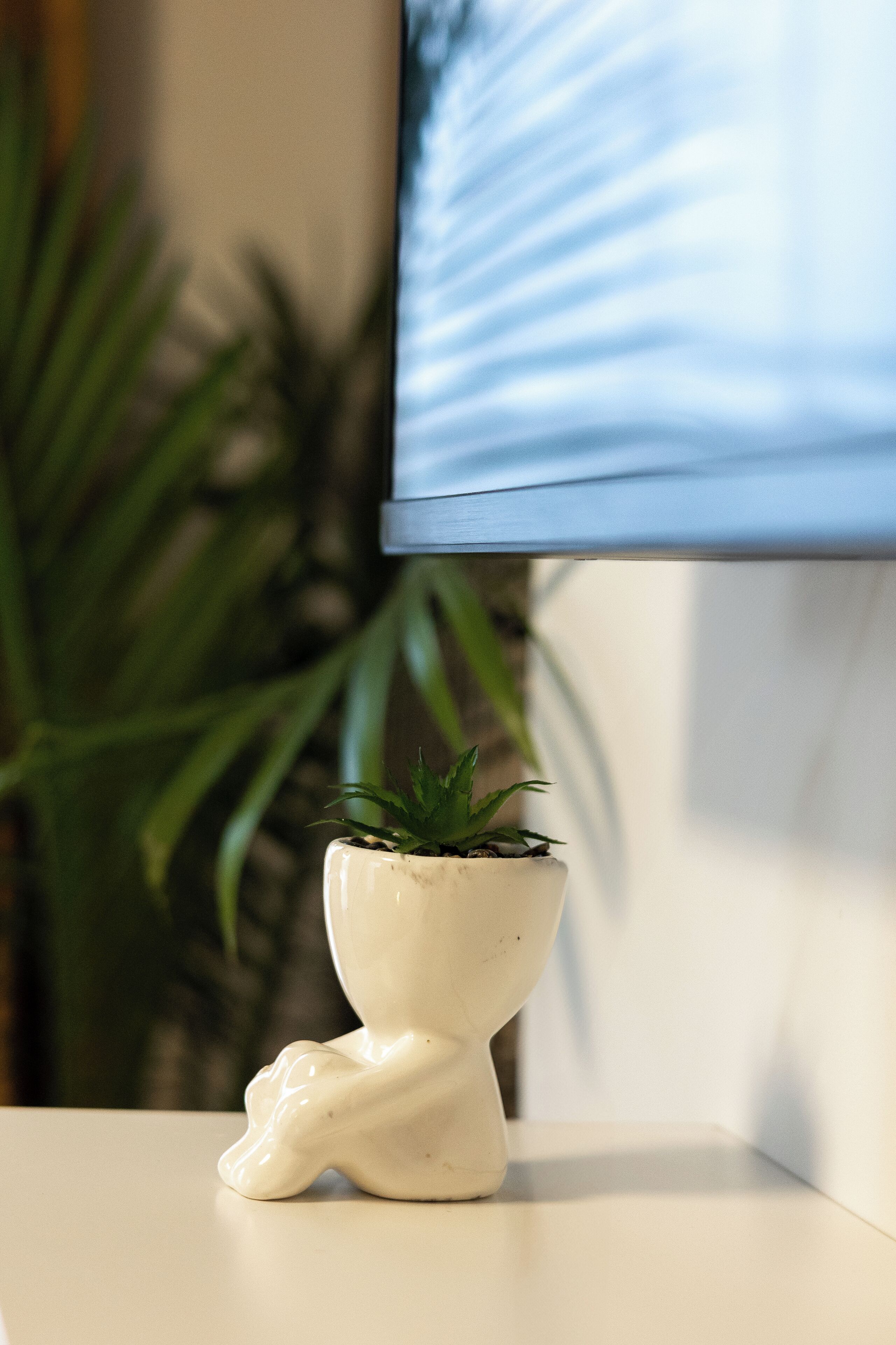 A small potted plant on a white surface with a television in the background.