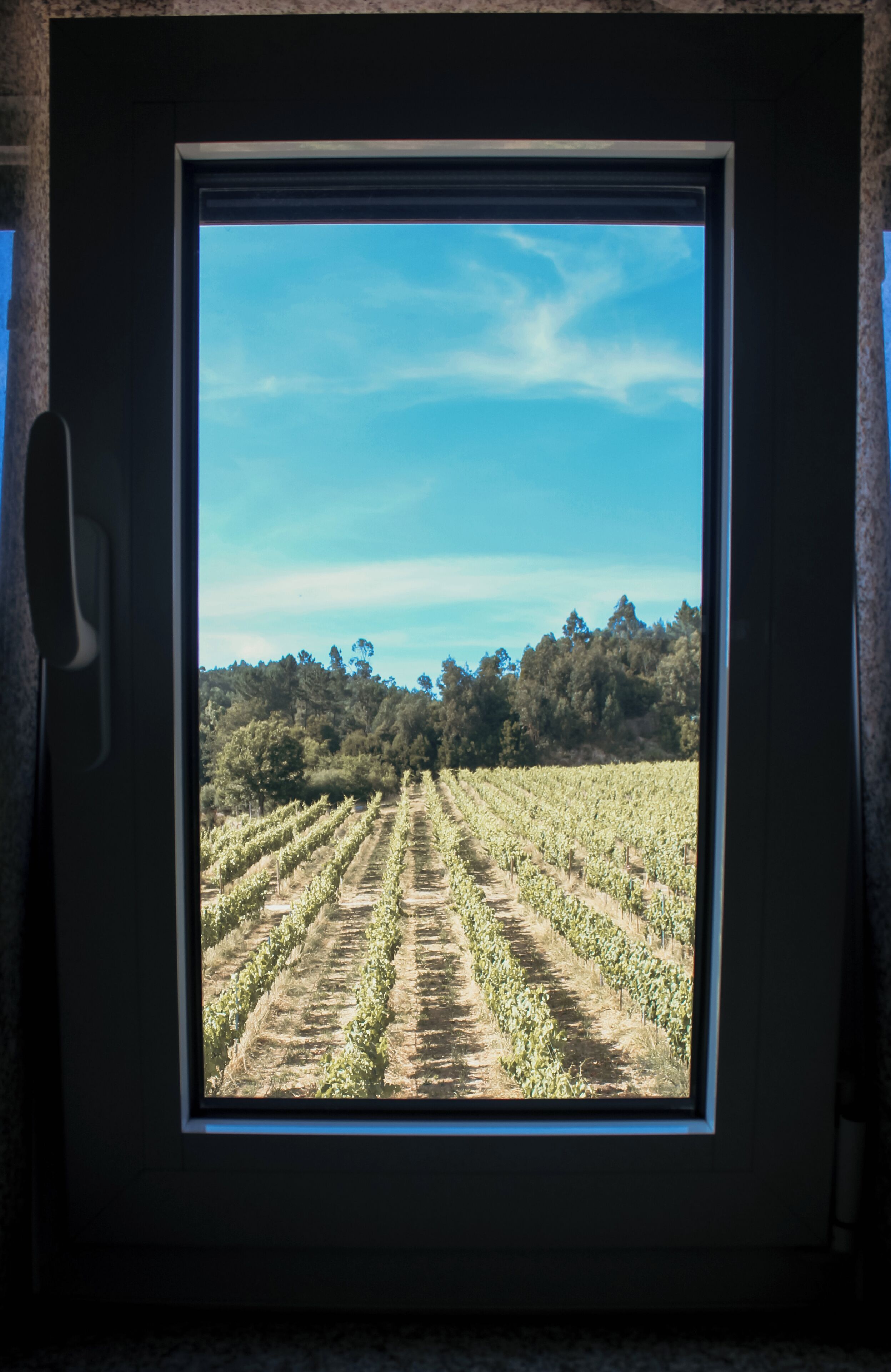 Family House, Patio, Garden View | Interior