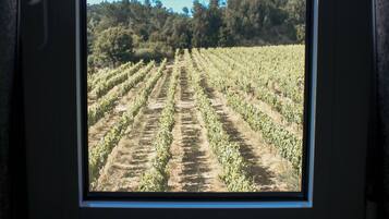 Family House, Patio, Garden View | Interior