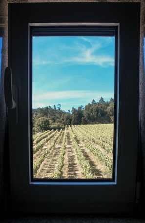 Familienhaus, Terrasse, Gartenblick | Innenbereich
