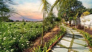 A garden pathway with a variety of plants and trees, leading to a building. - Geeta Bagh - Luxury Private Pool Villa In Pushkar (Riyanbaddi)