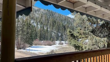 A covered outdoor area with a wooden railing, a view of a forested mountain, and a clear sky.