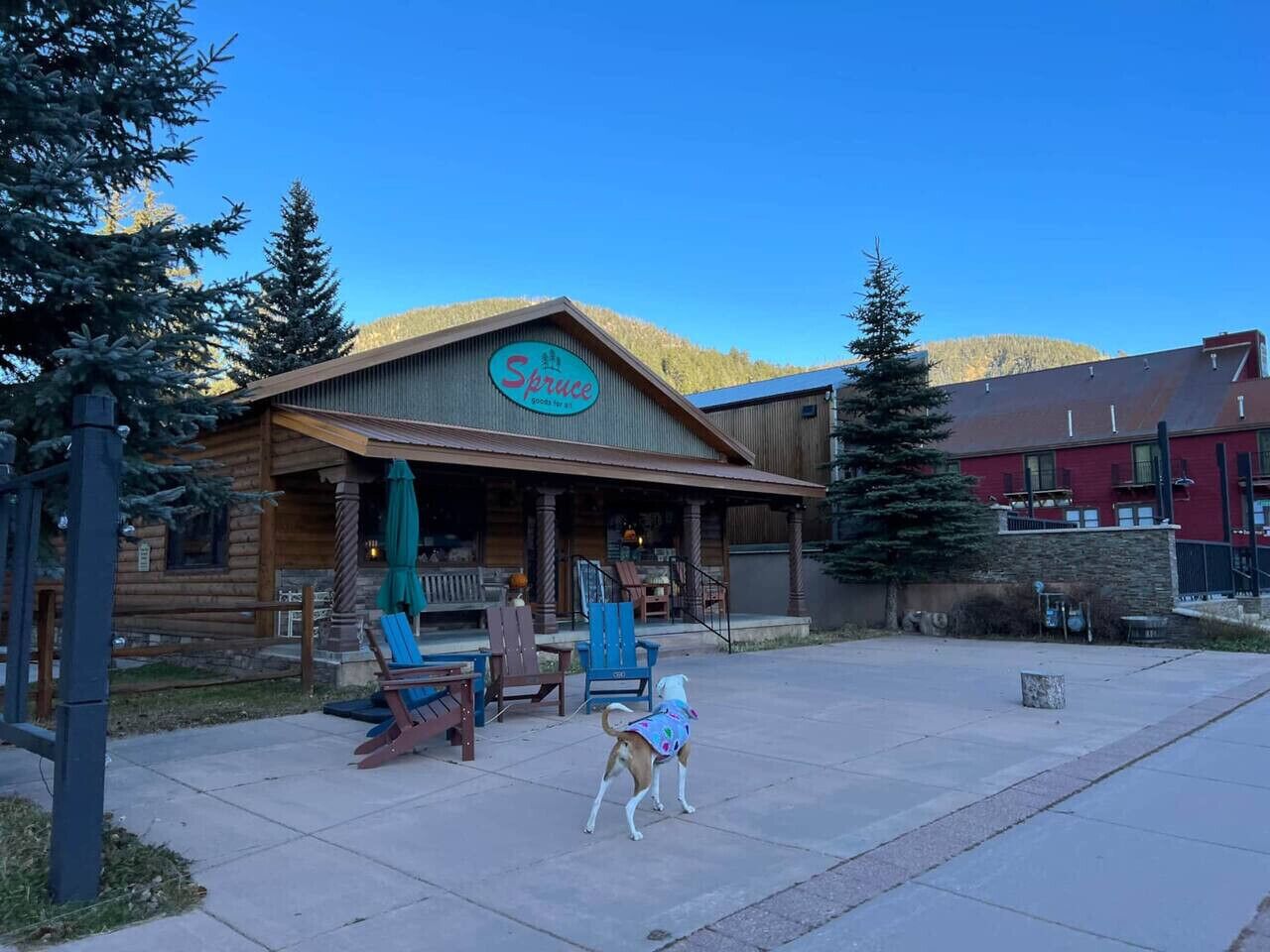 A rustic log cabin with a porch, outdoor seating, and a dog wearing a sweater.