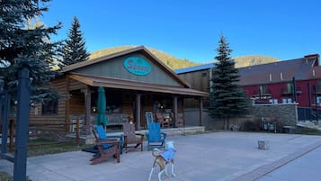 A rustic log cabin with a porch, outdoor seating, and a dog wearing a sweater.