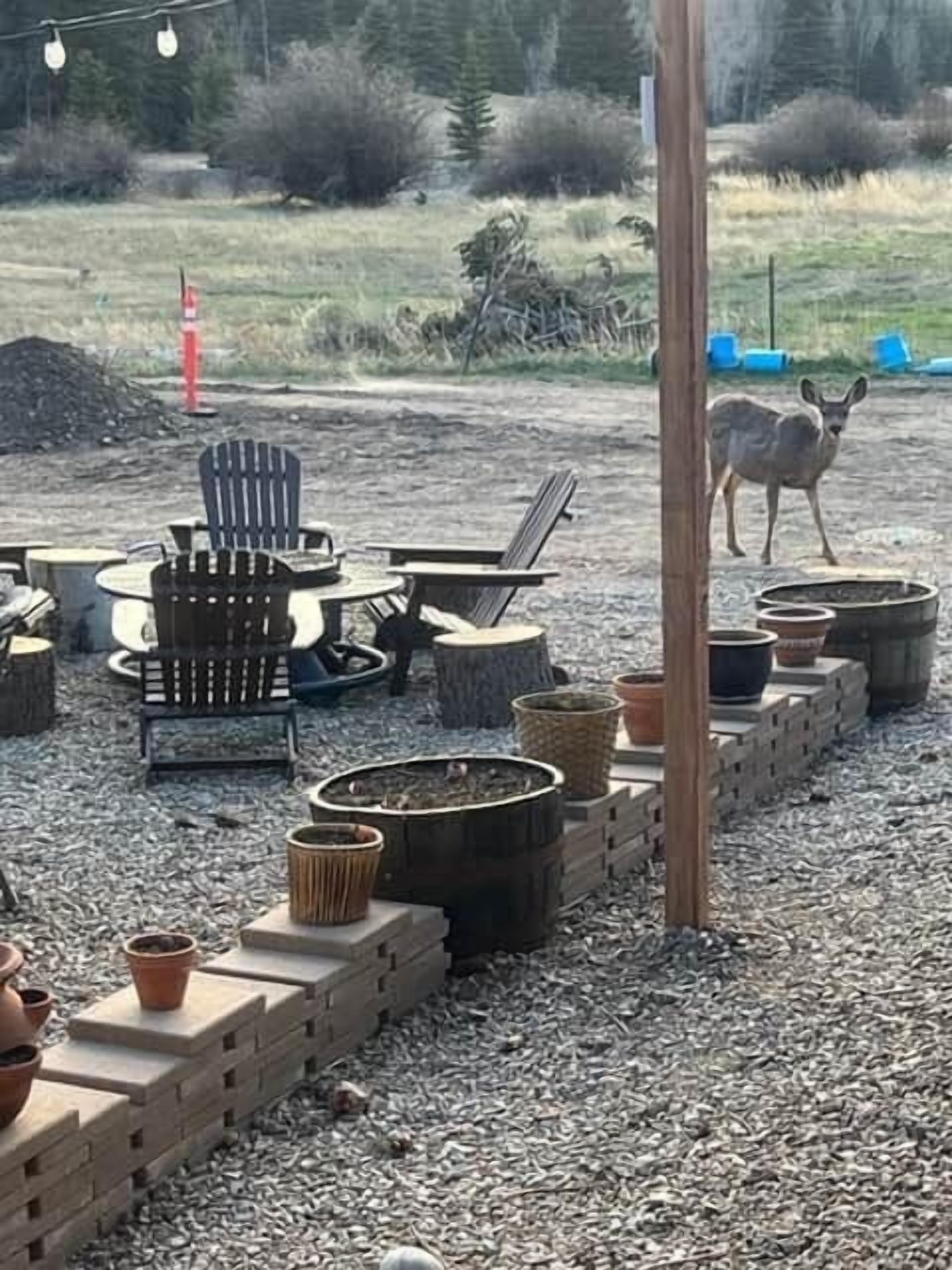 Àrea exterior de l'allotjament