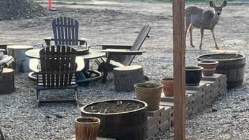 Àrea exterior de l'allotjament