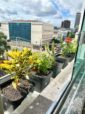 A row of potted plants on a balcony with a cityscape view.