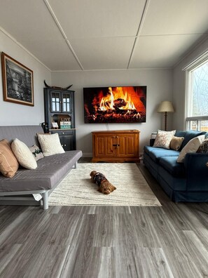 Living area - Shallow Sandy Lakefront Cottage - Hot Tub, Sauna & Tiki Hut (Brechin)