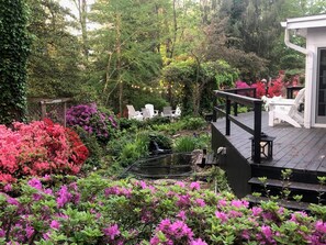 Property grounds - Stunning 5-bedroom house near Annapolis, available for May 2026 rental (Severna Park)