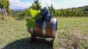 Un barril de madera con un racimo de uvas y una hoja encima, sobre un soporte en un viñedo.