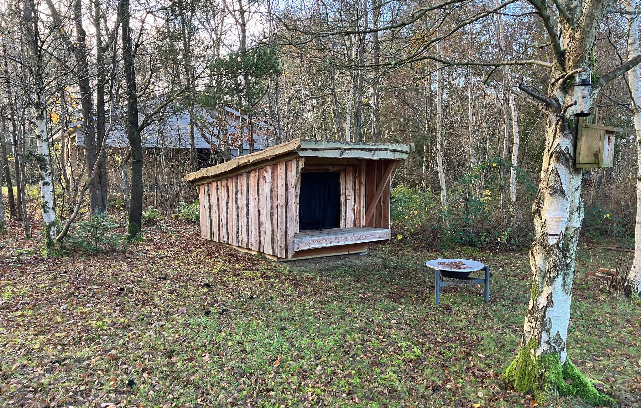Une cabane en bois rustique, située dans une zone boisée, avec une petite table et un abreuvoir à oiseaux à proximité.