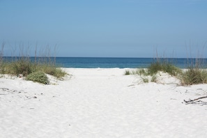 Ein sandiger Küstenpfad führt zum Meer, gesäumt von vereinzelten Pflanzen.