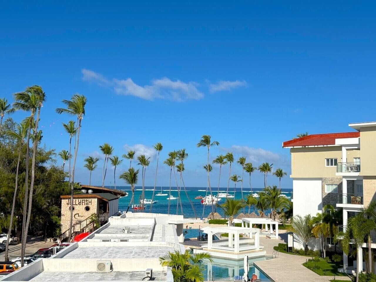 A resort with a pool, palm trees, and a view of the ocean.