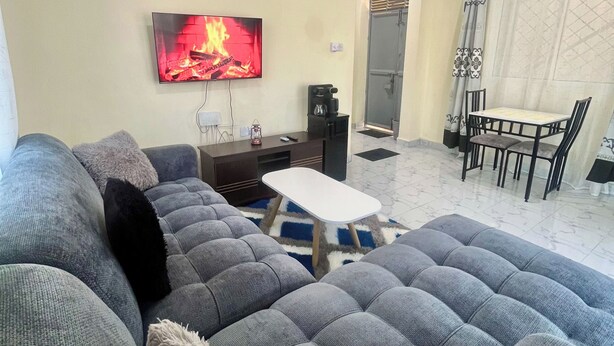 Un salon avec un canapé gris, une table basse, un téléviseur diffusant une image de cheminée, un coin repas avec une table et des chaises, et un espace douche avec des rideaux.