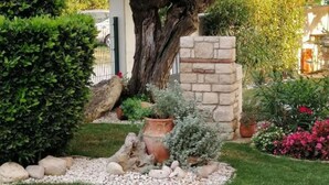 A garden with a stone wall, various potted plants, and a large tree. - Comfort Villa Roza in Umag - 5 Bedroom With Pool (Umag)