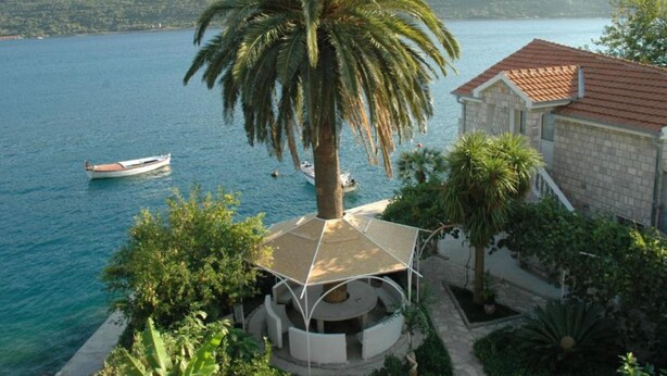 Una propiedad costera con vista al mar, un bote y una palmera.