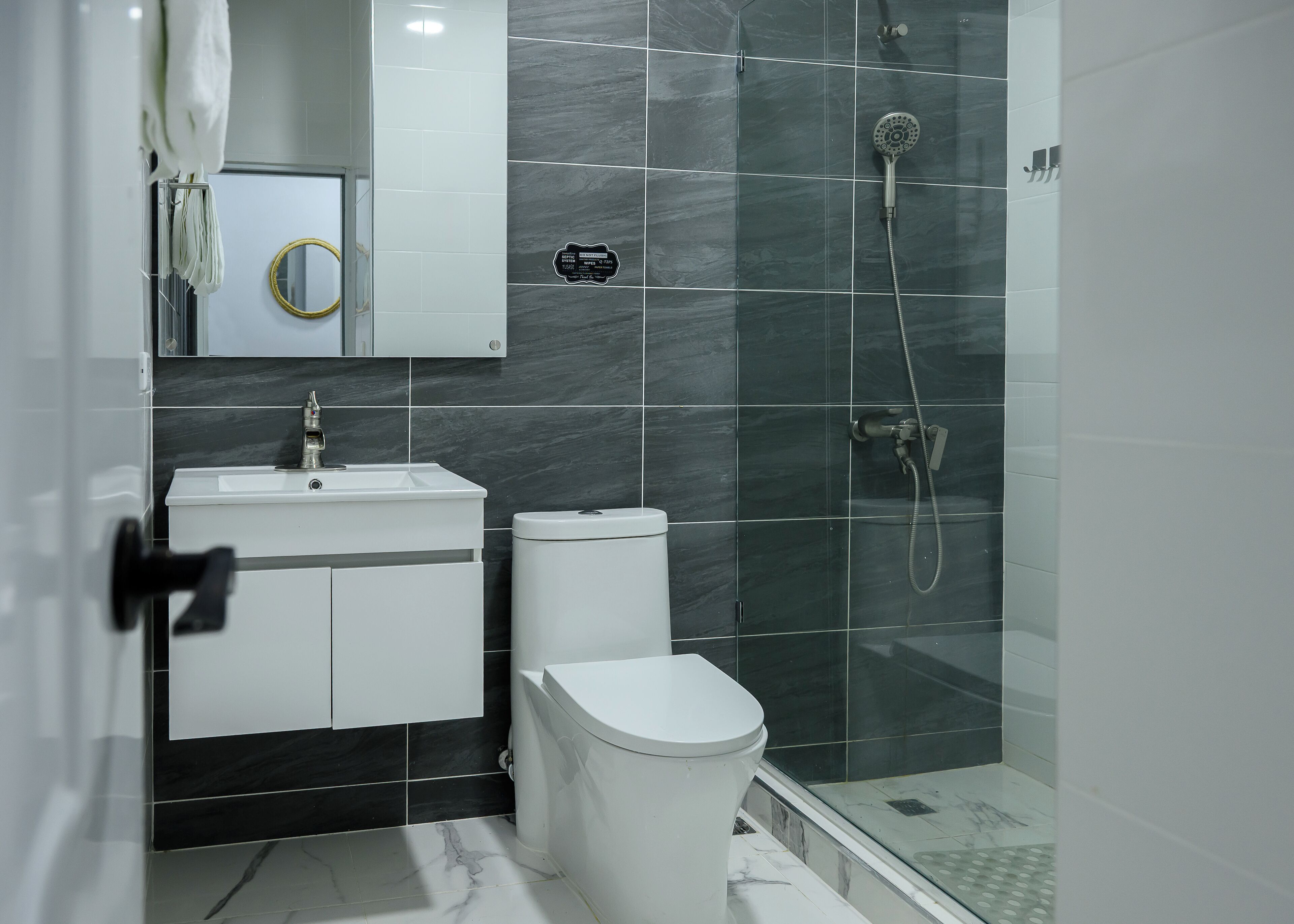 Shower, towels, toilet paper