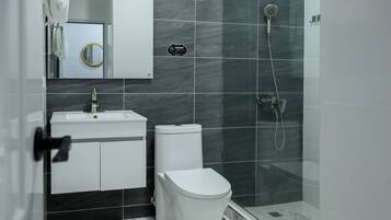 Shower, towels, toilet paper