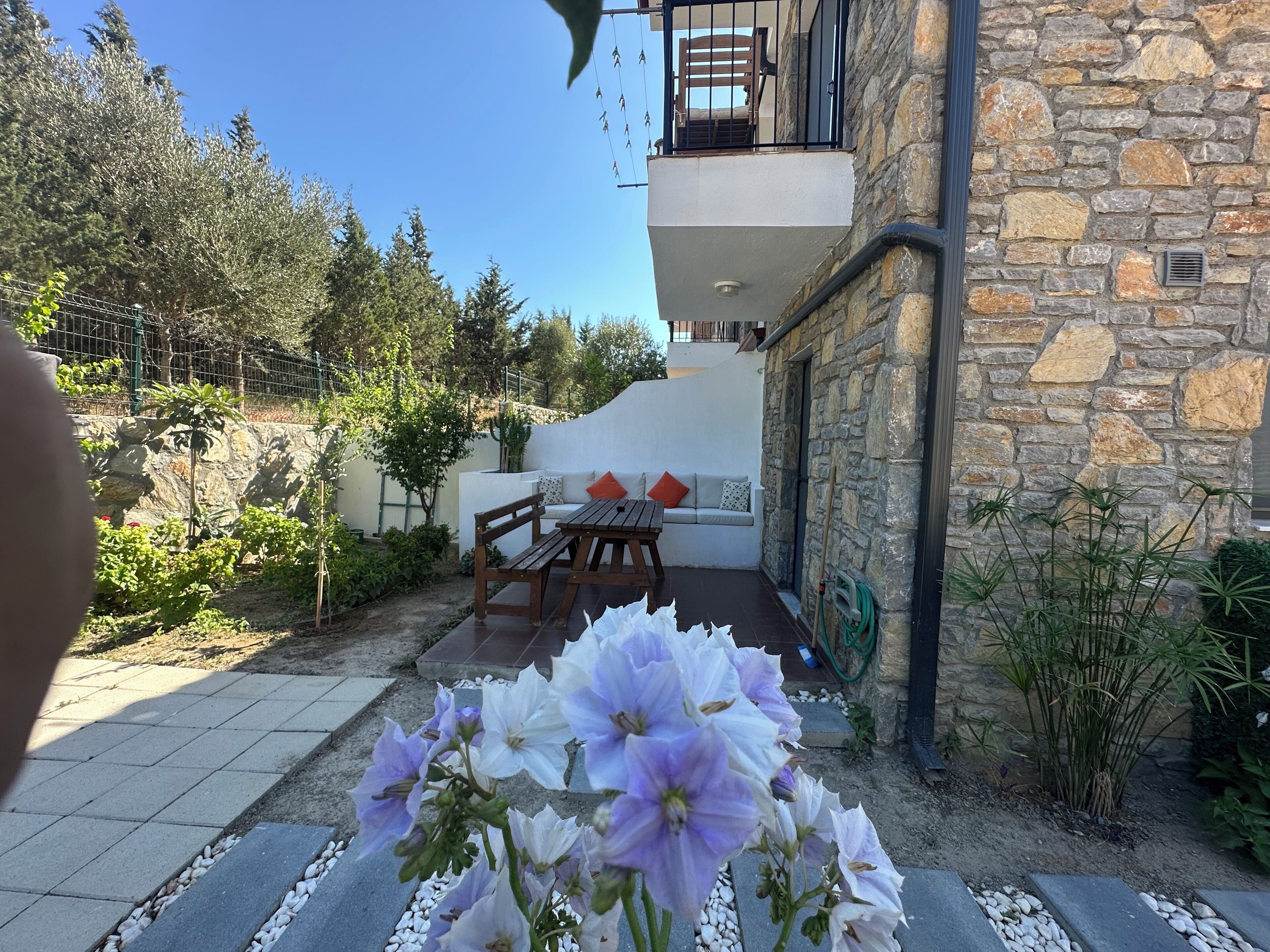 Restauration en plein air