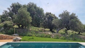 En swimmingpool med en stenvæg og en græsplæne med træer.
