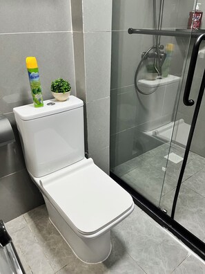 Sèche-cheveux, serviettes fournies, savon, papier toilette