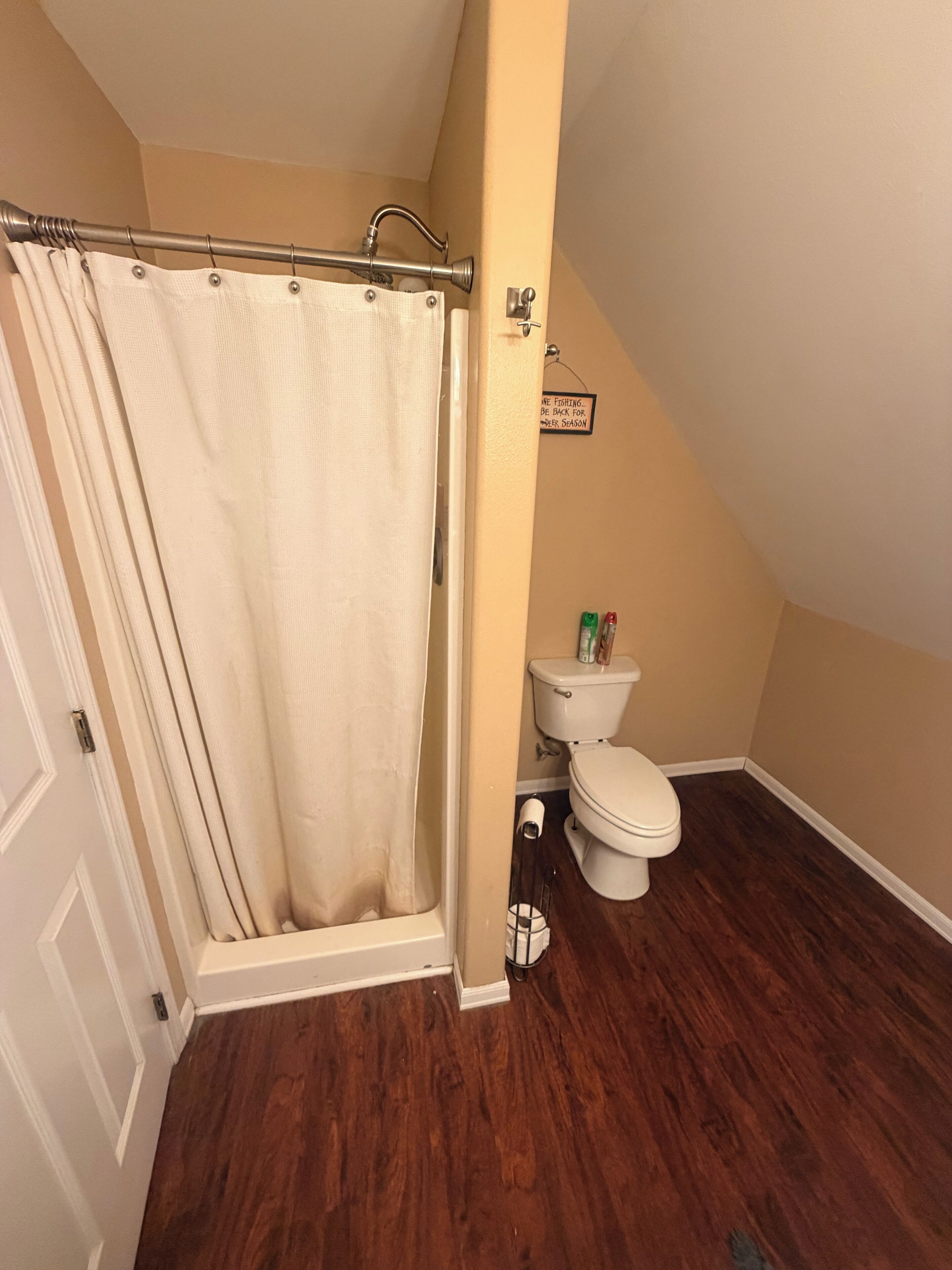 Shower, towels, soap, toilet paper