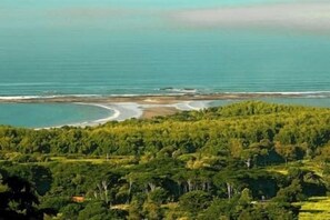 Beach - Pura Uvita - Whale's tail ocean view, modern home (Osa)
