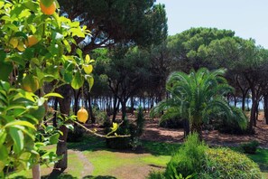 Property grounds - Villa Gioia | Tranquil Hideaway Beach Cottage (Pula)