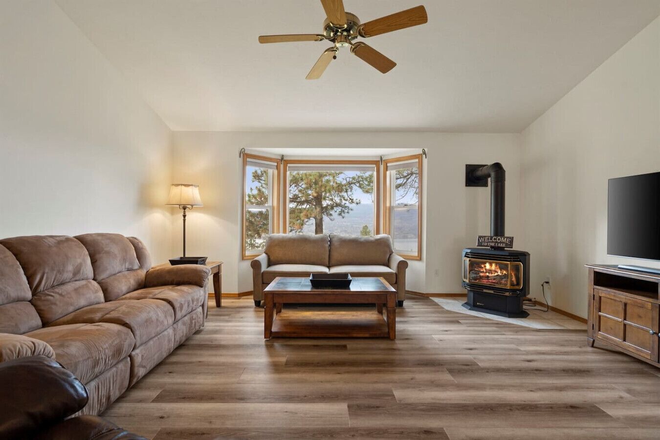 Télévision, baby-foot, table de tennis de table