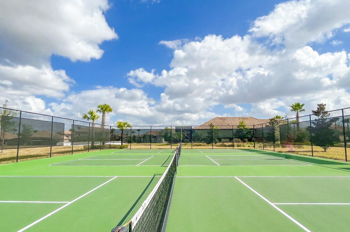 A tennis court with a net, surrounded by a fence and palm trees.