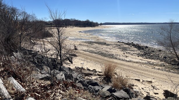 A beach with a clear sky, rocky shoreline, and a distant tree line.