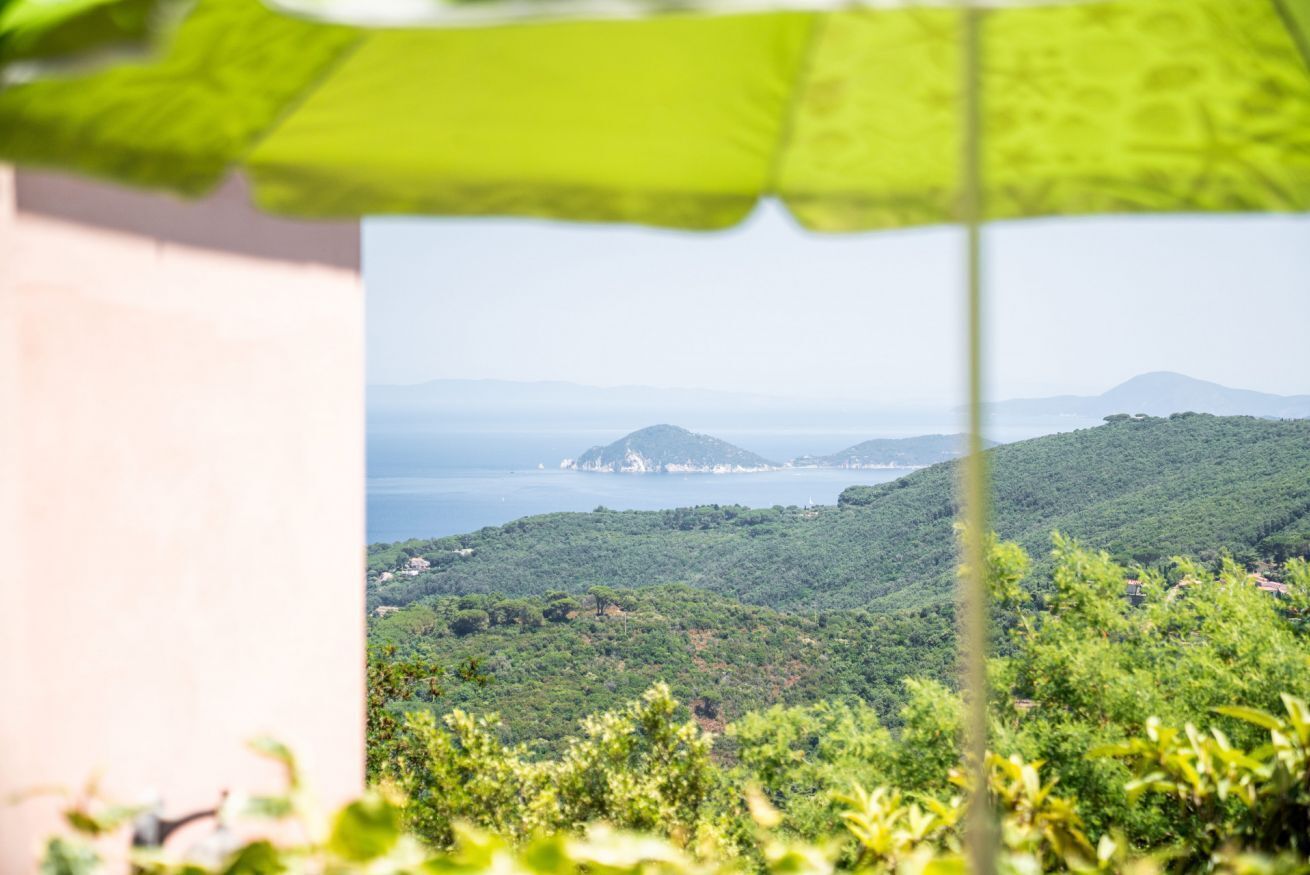 A view through a window with a green umbrella, overlooking a lush green landscape with hills and a body of water in the distance.