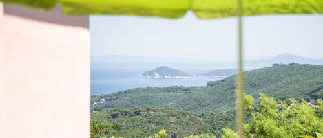 A view through a window with a green umbrella, overlooking a lush green landscape with hills and a body of water in the distance.