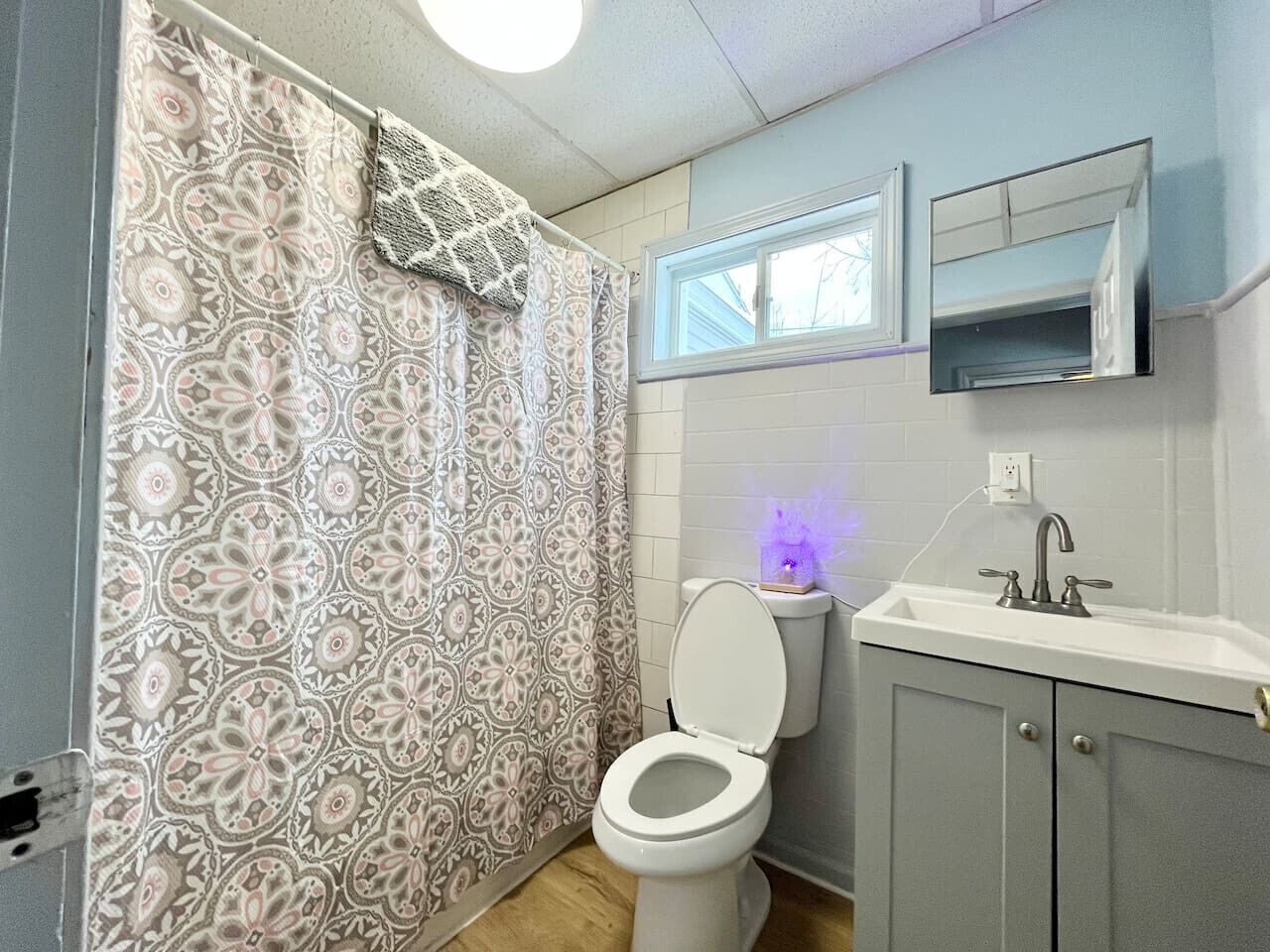 Hair dryer, towels, toilet paper