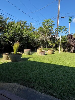 Property grounds - Beautiful retreat style home available for 6 months, May - October (Kilauea)