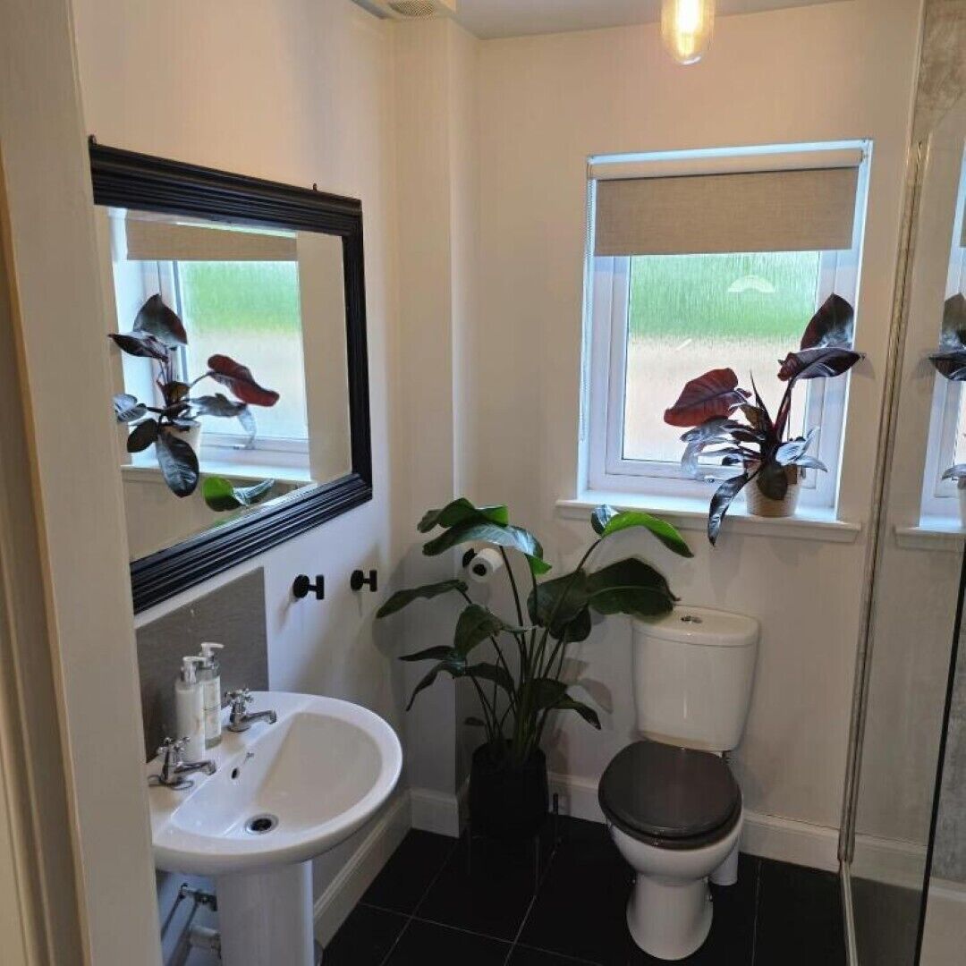 Asciugacapelli, asciugamani, sapone, carta igienica