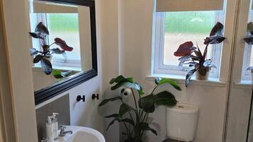 Hair dryer, towels, soap, toilet paper