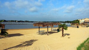 Une plage avec des parasols en chaume, des tables de pique-nique et un palmier.