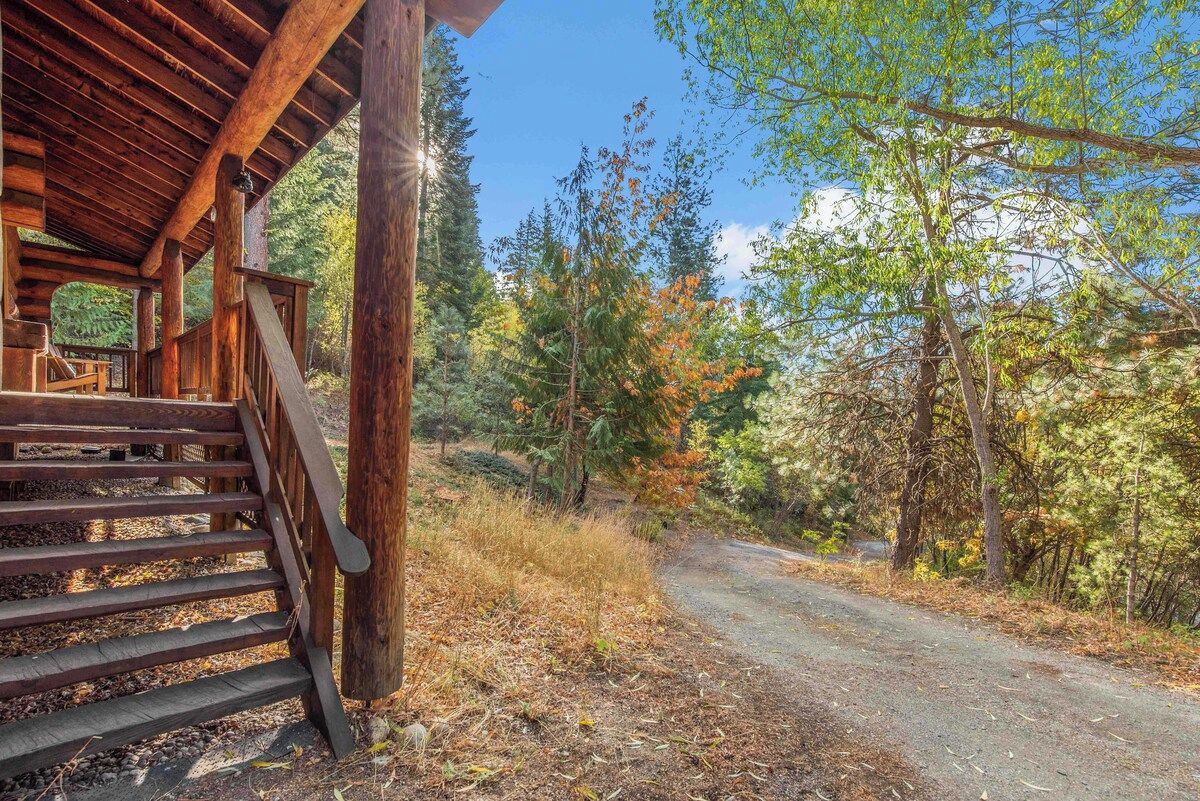Eine Holzhütte mit einer Treppe, die zu einer Veranda führt, umgeben von Bäumen und einem Feldweg.