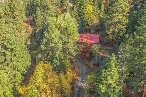 An aerial view of a forested area with a red-roofed building surrounded by dense trees.