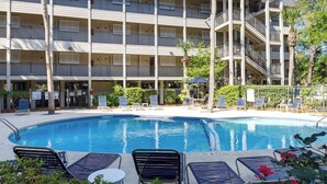 Un hôtel doté d’une piscine, de chaises longues et de palmiers.