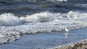 On the beach, beach towels