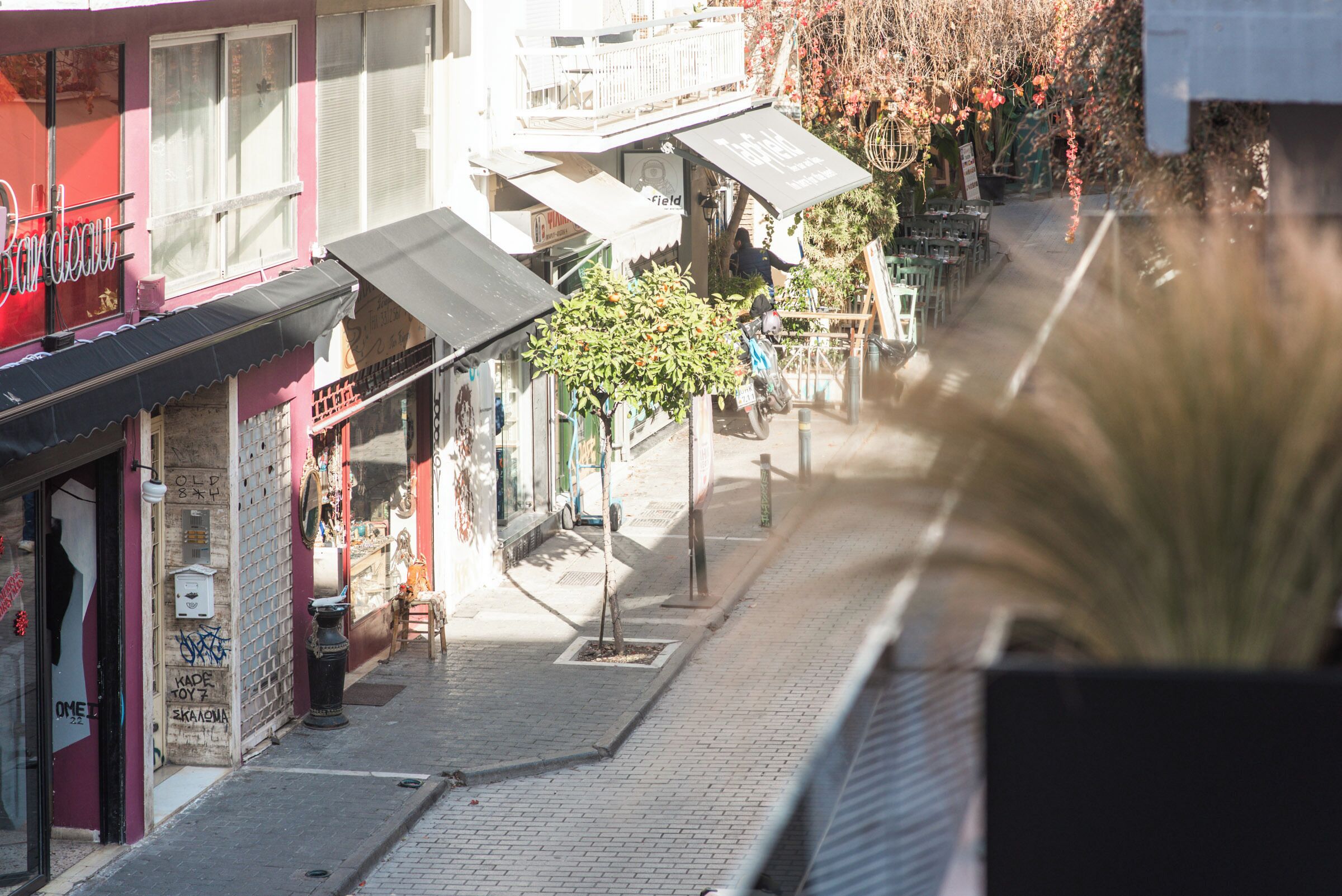 ジュニア スイート バルコニー シティビュー | 施設の敷地